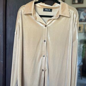 Elegant Velvet Cream Button-Up Blouse